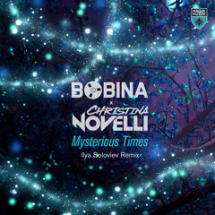 Mysterious Times (Ilya Soloviev Remix)