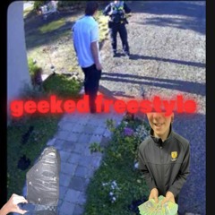 geeked freestyle