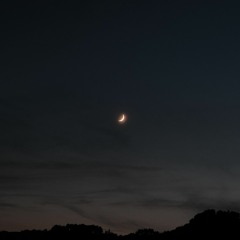 ship audios that are works of art