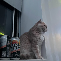 from the bottom of ma heartttt