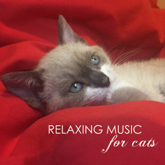 Concerto No. 4 in F minor, Op. 8, RV 297, "L'inverno" (Winter)