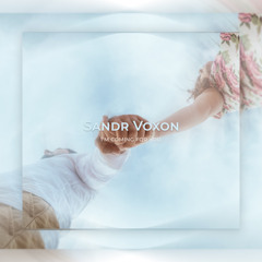 Sandr Voxon - I'm coming for you