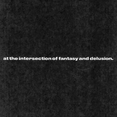 Elvin T - at the intersection of fantasy and delusion