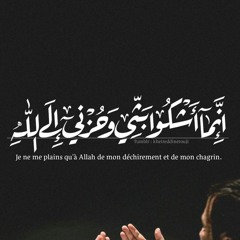 إنما أشكوا بثي وحزني إلى الله - وديع اليماني