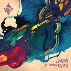 Fabian Krooss Frida Darko - Phoenix