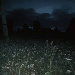 Соцветия любить