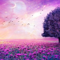 DanDoosh - A World Of Sounds