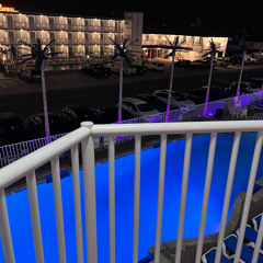 홀로 있는홀로 있는홀로 있는 solus (katai)