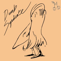 Brieuc Remy - Dumb Syndicate
