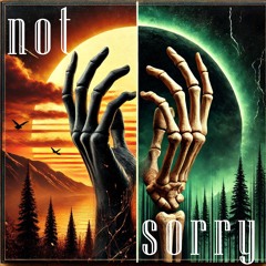M1ASMIC - Not Sorry