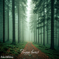Relaxing music,cool music,music for sleep,ambient - foggy forest - Robin Wild Green