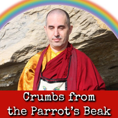 Ep304: Crumbs from the Parrot’s Beak - Tulku Sherdor