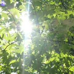 25.08.24 Yoga & Brunch at Waheyna