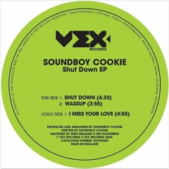 Soundboy Cookie - Shut Down EP [Limited Edition Vinyl] SAMPLER