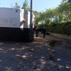 this place i now call home 290925