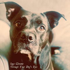 Through Your Dog's Eyes