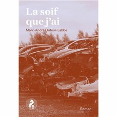 Marc-André Dufour-Labbé parle de son roman La soif que j'ai