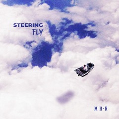 Steering - Fly