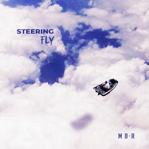 Steering - Fly