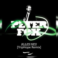 Peter Fox - Alles Neu x Jungle [Flow MashUp]