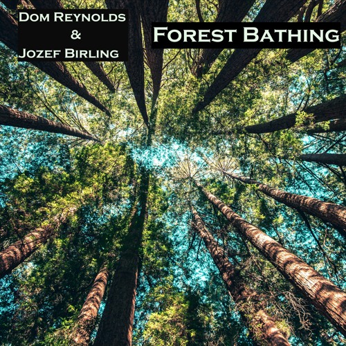 Forest Bathing (EDIT)