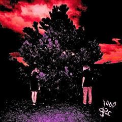 100 gecs - hand crushed by a mallet (seili flip)