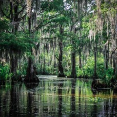 Conjure Man- From the musical Liza Lou