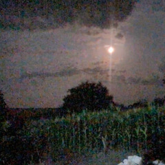 yo tambien me siento solo @axelagonia