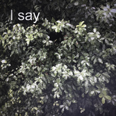 I say