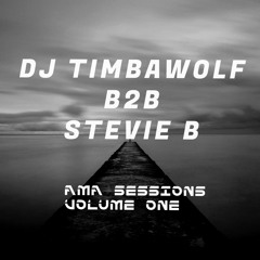DJ Timbawolf B2B Stevie B