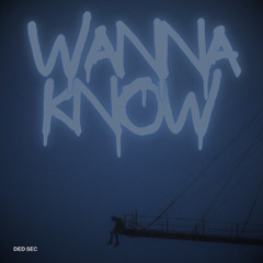 Wanna Know