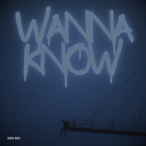 Wanna Know