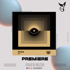 synk 49
