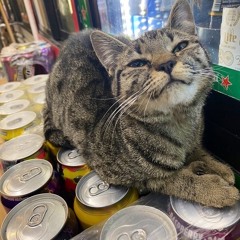 chill corner store lo-fi