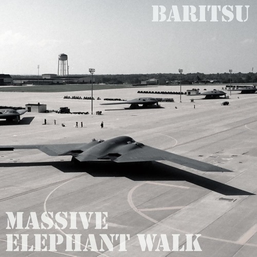 Massive Elephant Walk
