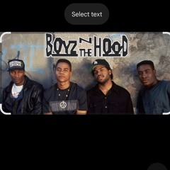 Boys N The Hood