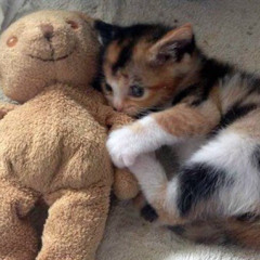 كان يا ما كان..