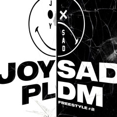 PLDM #2