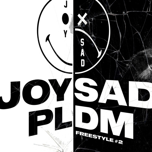 PLDM #2