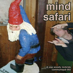 Mind Safari 3 (Original Mix)
