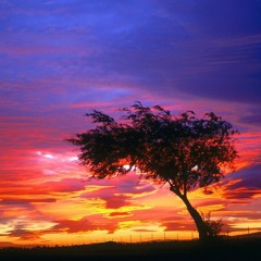 AUBADE (Ethno Deep - 29.03.20)