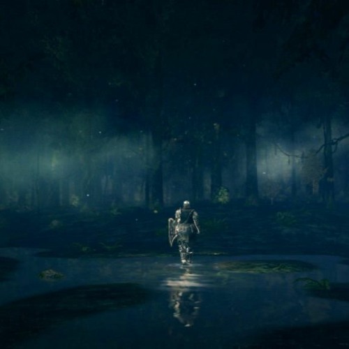Dark Souls - Darkroot Garden (concept)