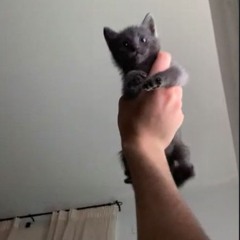 downbad pack😂 (ndr)