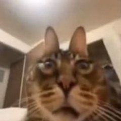 uuu  aaa