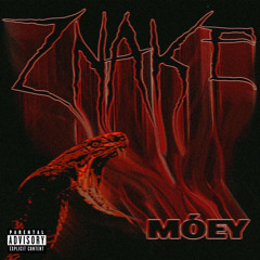 ZNAKE - MÓEY