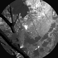 01_VOC_Elagh - 21_03_2025, 13.47