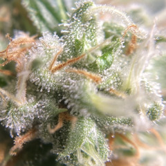 🕳️T€RP€T€MP€🕳️