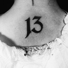 DARKNESS CYCLE/13