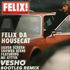 Felix Da Housecat - Silver Screen (Vesho Bootleg Remix ) FREE DOWNLOAD