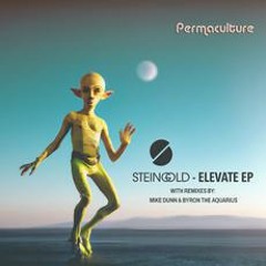 PREMIERE: STEINGOLD - ELEVATE ft. Nate Husser (Byron The Aquarius Remix) [Permaculture]